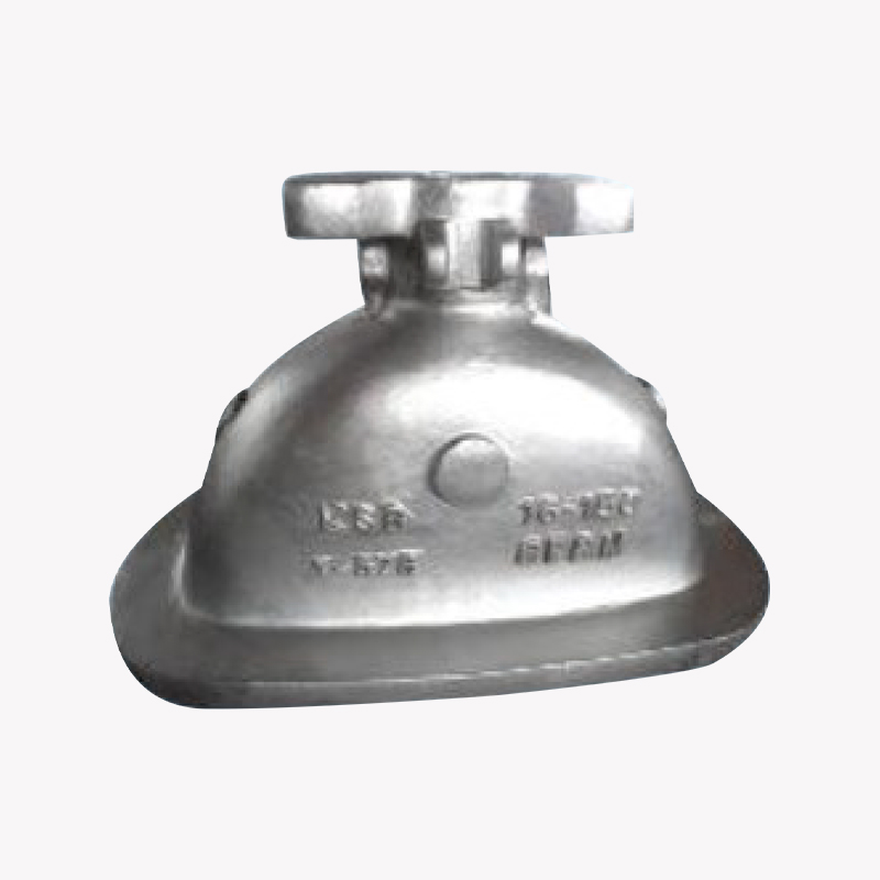 Cubierta de válvula